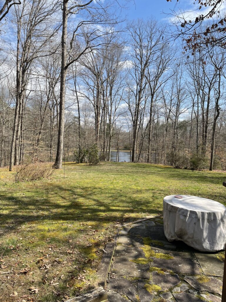 lovely backyard with pond